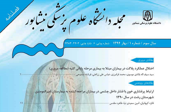 نیشابور 22 